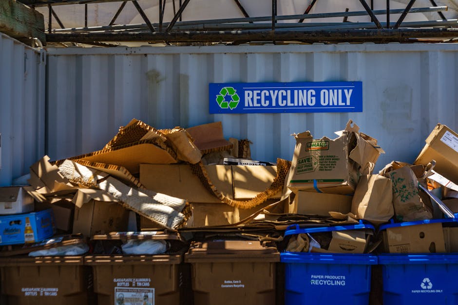 A large outdoor recycling area features a row of blue and brown recycling bins filled with various waste materials such as flattened and crumpled cardboard boxes, paper packaging, and loose paper products. Behind the bins, there is a corrugated metal wall with a prominent blue sign reading 'RECYCLING ONLY' alongside a green recycling symbol. Above, a metal roof structure provides partial cover, casting shadows on the bins and waste. Some cardboard boxes are partially open, revealing their contents, while others are compressed or torn apart. The scene is lit by natural daylight, highlighting the textures of the cardboard, paper, and plastic materials involved in home relocation or move-related waste disposal. The image is relevant to furniture transport and packing during house removals, illustrating the disposal of packaging materials part of the moving process, as operated by providers like Man and Van Paddington.